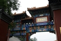 pekin-lamas_002