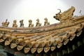 pekin-lamas_008