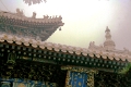 pekin-lamas_014