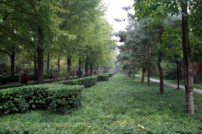 pekin-confusius_002.JPG