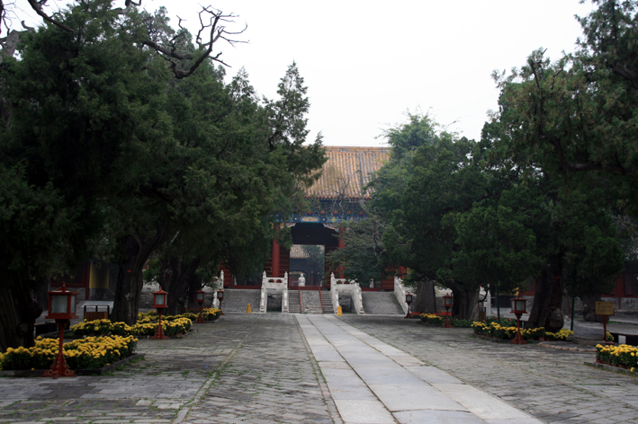 pekin-confusius_014.JPG