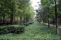 pekin-confusius_002
