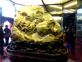 cite-interdite_084