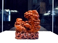 cite-interdite_087