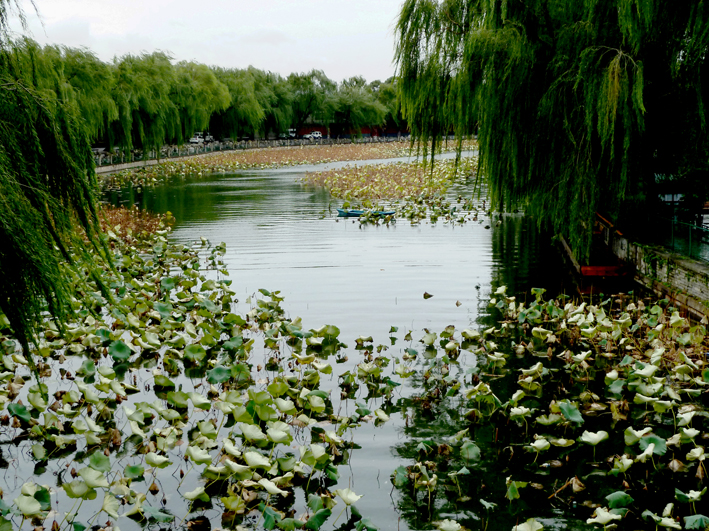 pekin-resto_005.JPG