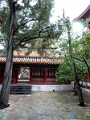 pekin-resto_001