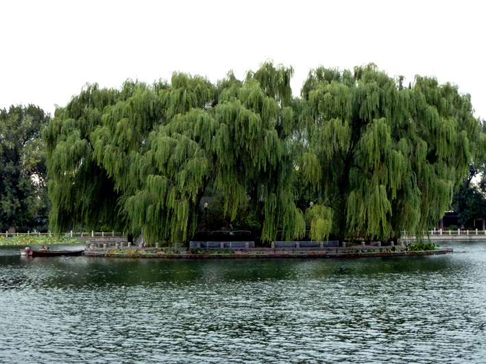 pekin-beihai_007.JPG