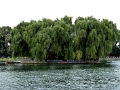 pekin-beihai_007