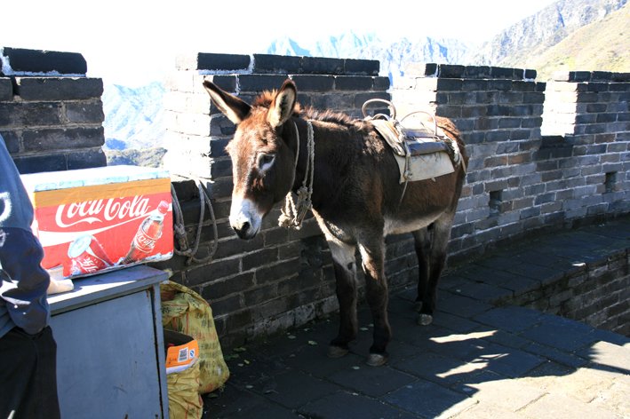 grande-muraille_034.JPG