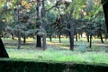 tombeaux-ming_029