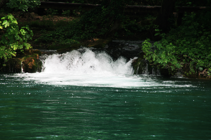 krka_014.jpg