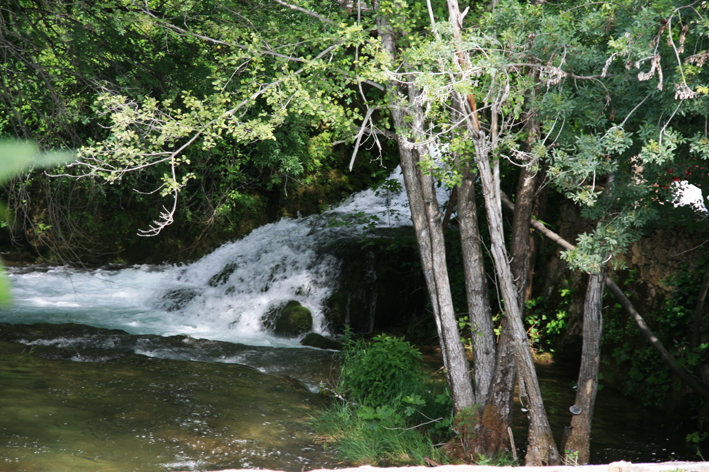 krka_016.jpg