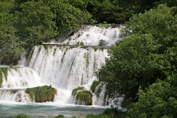 krka_023.jpg