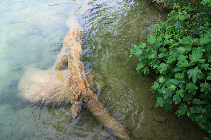 krka_041.jpg