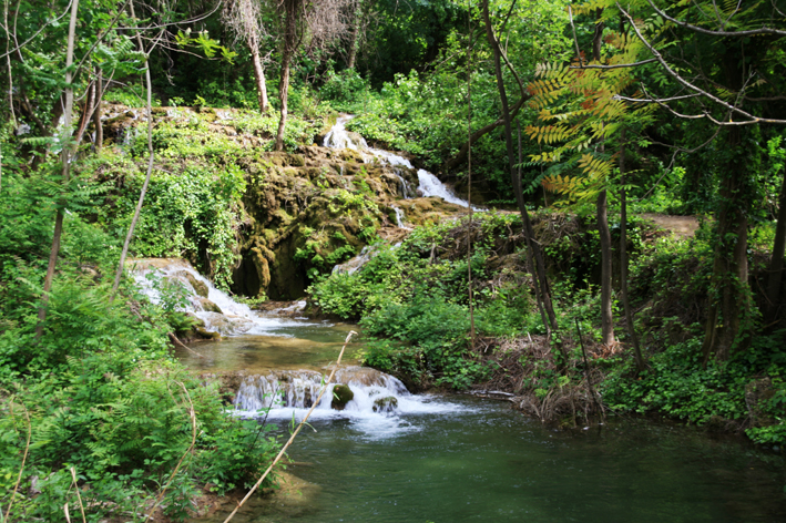 krka_057.jpg