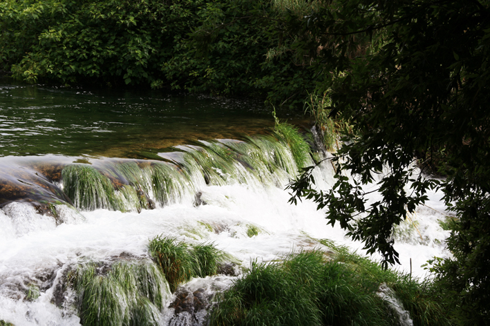 krka_067.jpg