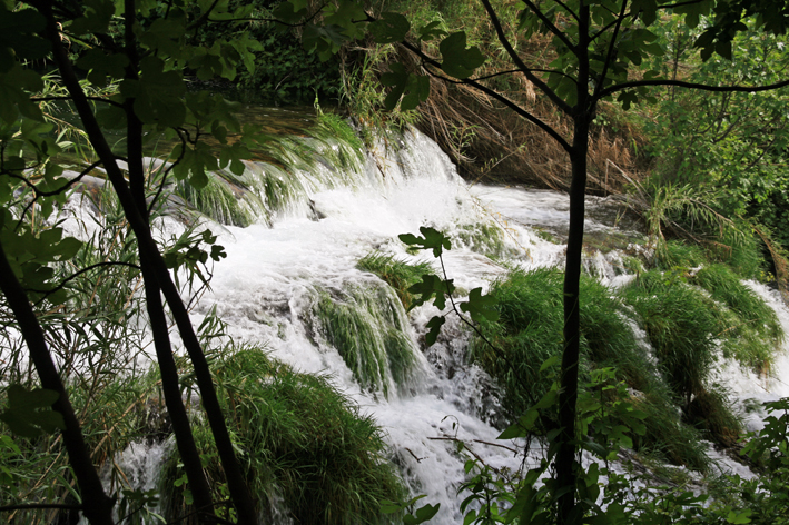 krka_069.jpg
