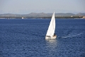 krka_002