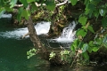 krka_012