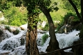 krka_037