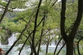 krka_055