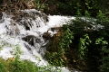 krka_066