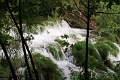 krka_069
