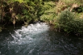 krka_071