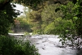 krka_075