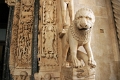trog_028