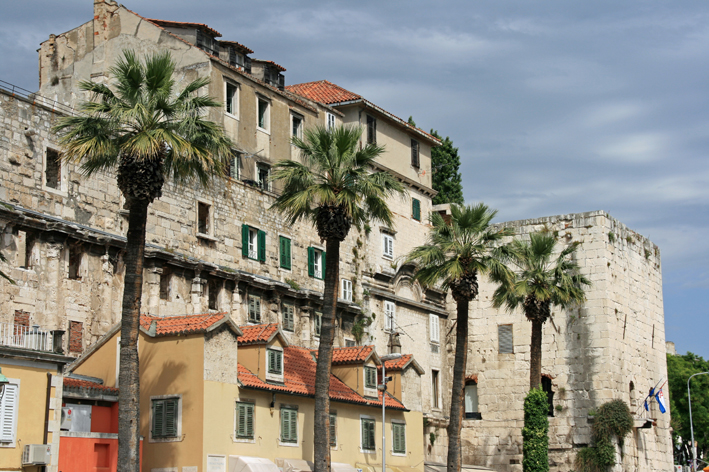 split_006.jpg