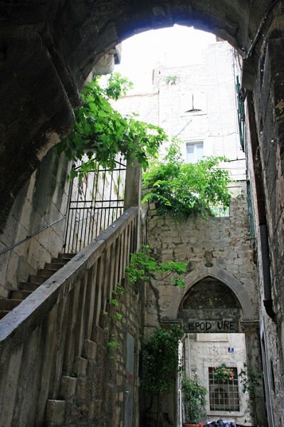 split_029.jpg