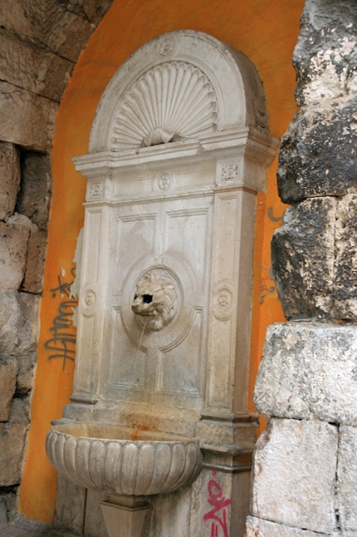 split_033.jpg