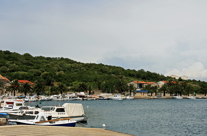 vis_001.jpg
