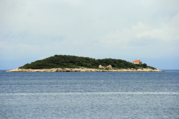 vis_009.jpg