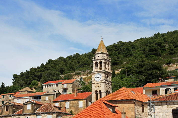 vis_010.jpg
