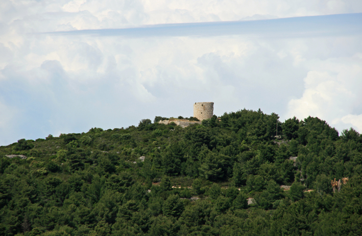 vis_015.jpg
