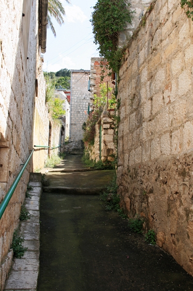 vis_017.jpg