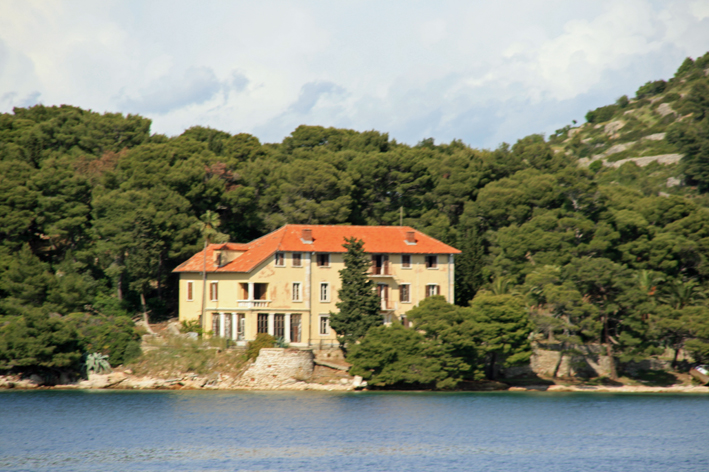vis_029.jpg