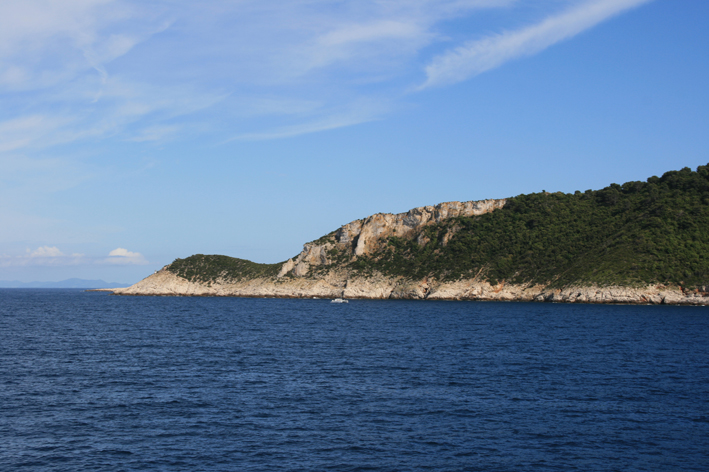 vis_032.jpg