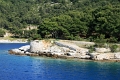 vis_030