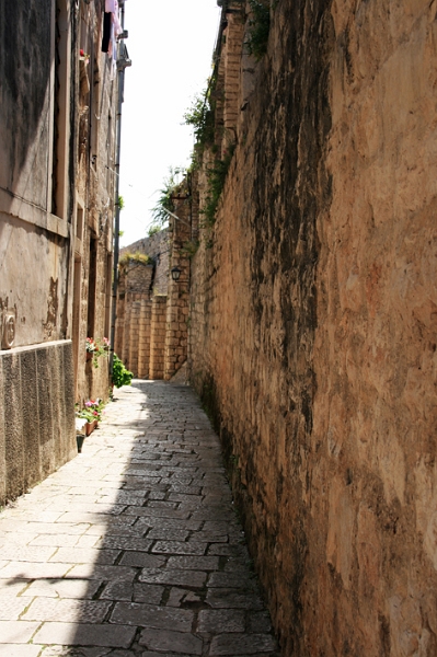 korc_037.jpg