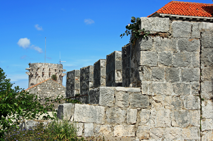 korc_038.jpg