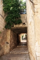 korc_045