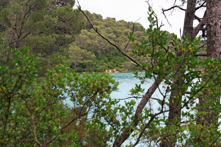 milj_002.jpg