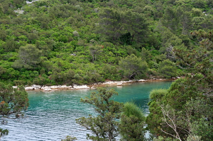 milj_024.jpg