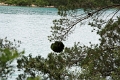 milj_004