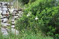 milj_023