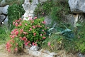 milj_025
