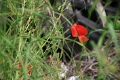 milj_027